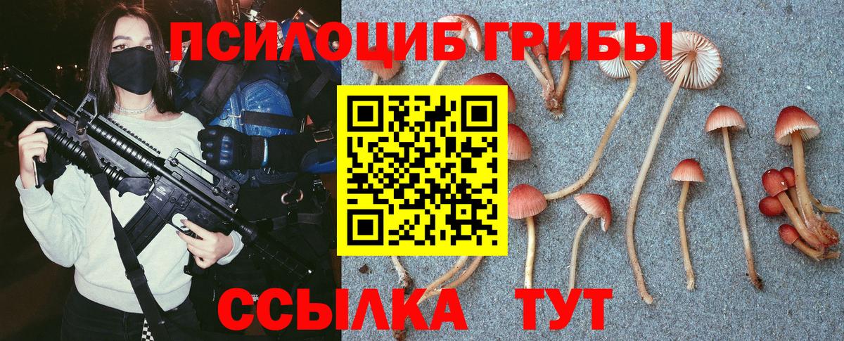 Сарапул  Псилоцибиновые грибы GOLDEN TEACHER  Вход с VPN 